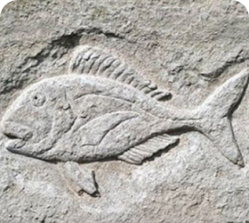 نماد ماهی روی سنگ نشانه چیست